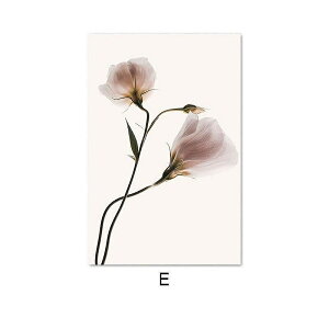 A[g|X^[ t[tEA[gplzt ʐ^V[Y@ fUCNO-E A4 A3 A2