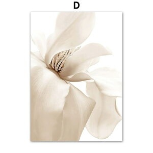 A[g|X^[ t[tEA[gplzt ʐ^V[Y fUCNO-D A4 A3 A2