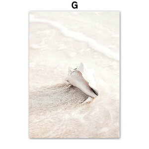 A[g|X^[ t[tEA[gplzt ʐ^V[Y fUCNO-G A4 A3 A2