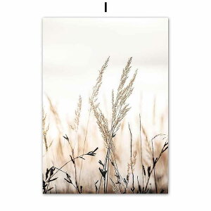 A[g|X^[ t[tEA[gplzt ʐ^V[Y fUCNO-I A4 A3 A2