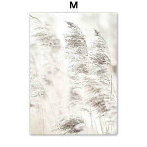 A[g|X^[ t[tEA[gplzt ʐ^V[Y fUCNO-M A4 A3 A2