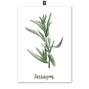 A[g|X^[ t[tEA[gplzt ʉA {^jJ V[Y ^S fUCNO-B A4 A3 A2