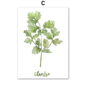 A[g|X^[ t[tEA[gplzt ʉA {^jJ V[Y RA_[ fUCNO-C A4 A3 A2