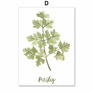 A[g|X^[ t[tEA[gplzt ʉA {^jJ V[Y pZ fUCNO-D A4 A3 A2