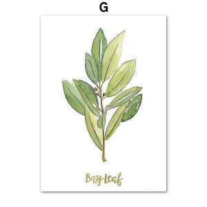 A[g|X^[ t[tEA[gplzt ʉA {^jJ V[Y QbPCW fUCNO-G A4 A3 A2