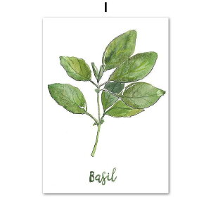 A[g|X^[ t[tEA[gplzt ʉA {^jJ V[Y oW fUCNO-I A4 A3 A2