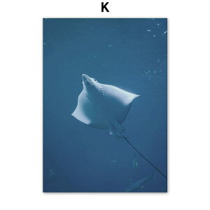 A[g|X^[ t[tEA[gplzt CV[Y GC fUCNO-K A4 A3 A2