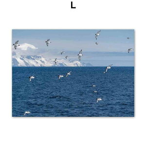 A[g|X^[ t[tEA[gplzt CV[Y C fUCNO-L A4 A3 A2