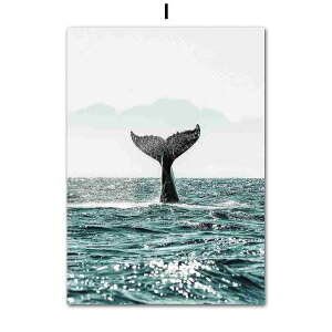 A[g|X^[ t[tEA[gplzt CӃV[Y fUCNO-I