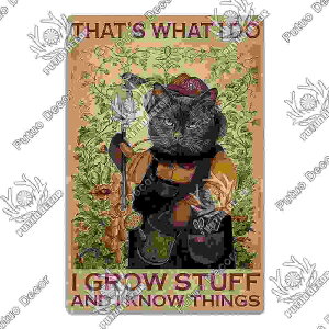 A[g|X^[ t[tEA[gplA[gpluL̔LV[Y fUCNO-20