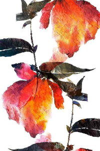 A[g|X^[ t[tEA[gplzt A {^jJ V[Y fUCNO-1 A4 A3 A2