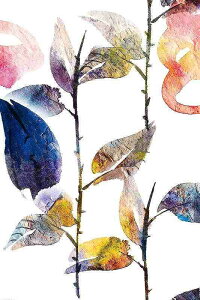 A[g|X^[ t[tEA[gplzt A {^jJ V[Y fUCNO-4 A4 A3 A2