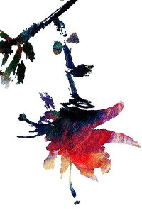 A[g|X^[ t[tEA[gplzt A {^jJ V[Y fUCNO-5 A4 A3 A2