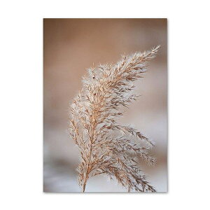 A2 A3 t[t A[gpl A[g|X^[ HV[Y fUCNO-B