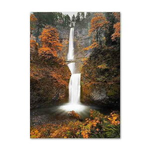 A[g|X^[ t[tEA[gplzt HV[Y fUCNO-E A4 A3 A2