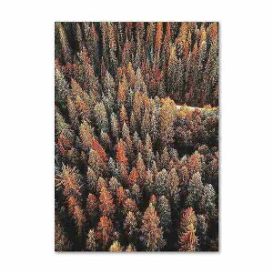 アートポスター フレーム付・アートパネル額付 秋シリーズ デザインNO-I A4 A3 A2