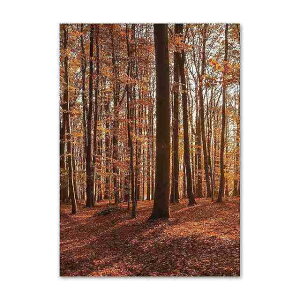 A[g|X^[ t[tEA[gplzt HV[Y fUCNO-L A4 A3 A2