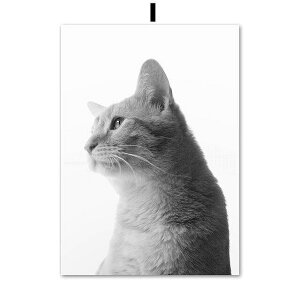 A[g|X^[ t[tEA[gplzt LV[Y fUCNO-I A4 A3 A2