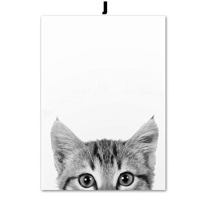 A[g|X^[ t[tEA[gplzt LV[Y fUCNO-J A4 A3 A2