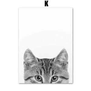 A[g|X^[ t[tEA[gplzt LV[Y fUCNO-K A4 A3 A2