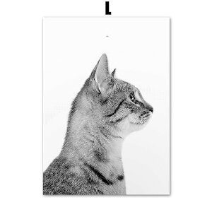 A[g|X^[ t[tEA[gplzt LV[Y fUCNO-L A4 A3 A2