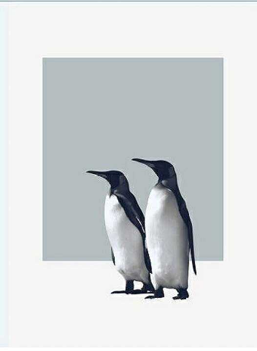 楽天市場 アートポスター アートパネル アートフレーム ポスターペンギンイラストシリーズ デザインno 1 A3 スケッチショップ