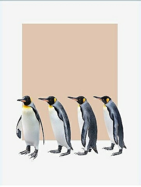 楽天市場 アートポスター アートパネル アートフレーム ポスターペンギンイラストシリーズ デザインno 2 A3 スケッチショップ