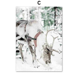 A[g|X^[ t[tEA[gplzt ̋␢EV[Y giJCfUCNO-C A4 A3 A2