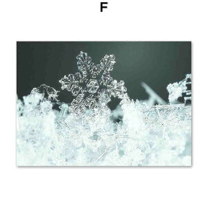 A[g|X^[ t[tEA[gplzt ̋␢EV[Y fUCNO-F A4 A3 A2
