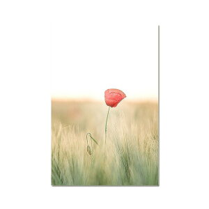 A2 A3 t[t A[gpl A[g|X^[ |s[V[Y fUCNO-1