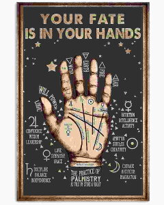 A[g|X^[ t[tEA[gplzt CXgV[Y 葊 fUCNO-11