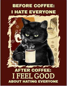 A[g|X^[ t[tEA[gplzt CXgV[Y L fUCNO-16