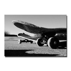 A[g|X^[ t[tEA[gplzt XP{[V[Y fUCNO-9