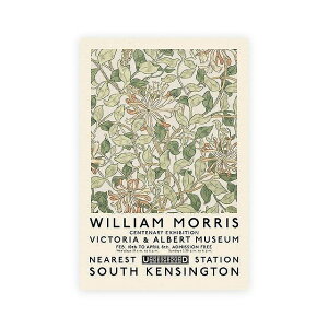 A[g|X^[ t[tEA[gpl EBAX |X^[ {^jJ V[Y fUCNO-7@col  zCg O[   IW