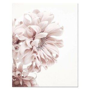 A[g|X^[ t[tEA[gplzt ԃV[Y fUCNO-1 A4 A3 A2