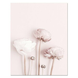 アートポスター フレーム付・アートパネル額付 花シリーズ デザインNO-2 A4 A3 A2