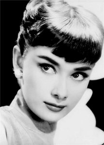 A[g|X^[ t[tEA[gplzt I[h[Ewbvo[ |X^[ mNʐ^V[Y fUCNO-11 A4 A3 A2