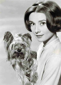 A[g|X^[ t[tEA[gplzt I[h[Ewbvo[ |X^[ mNʐ^V[Y fUCNO-12 A4 A3 A2