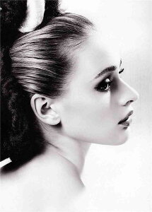 A[g|X^[ t[tEA[gplzt I[h[Ewbvo[ |X^[ mNʐ^V[Y fUCNO-18 A4 A3 A2