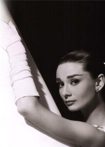 A[g|X^[ t[tEA[gplzt I[h[Ewbvo[ |X^[ mNʐ^V[Y fUCNO-21 A4 A3 A2