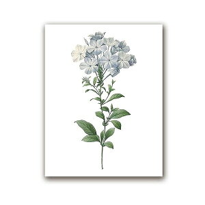 A[g|X^[ t[tEA[gplzt A {^jJ EԃV[Y u[t[ fUCNO-2 A4 A3 A2