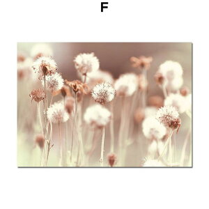 A[g|X^[ t[tEA[gplzt A {^jJ EԁEۂۃV[Y fUCNO-F A4 A3 A2