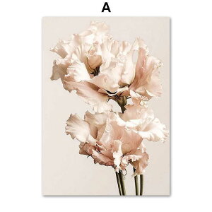 A[g|X^[ t[tEA[gplzt A {^jJ EԁEsNV[Y fUCNO-A A4 A3 A2