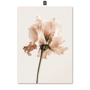 A[g|X^[ t[tEA[gplzt A {^jJ EԁEsNV[Y fUCNO-B A4 A3 A2