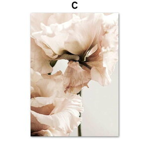 A[g|X^[ t[tEA[gplzt A {^jJ EԁEsNV[Y fUCNO-C A4 A3 A2