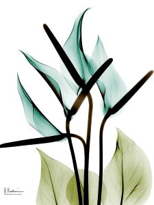 A[g|X^[ t[tEA[gplzt A {^jJ EXPgt[V[Y fUCNO-5 A4 A3 A2