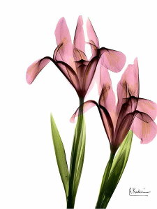 A[g|X^[ t[tEA[gplzt A {^jJ EXPgt[V[Y fUCNO-6 A4 A3 A2