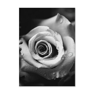 A[g|X^[ t[tEA[gplzt mNEmg[V[Y o fUCNO-b A4 A3 A2