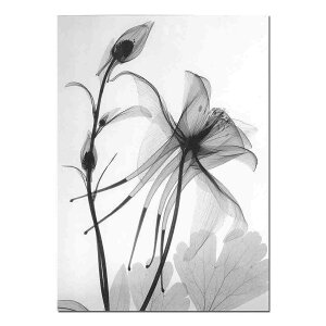 A[g|X^[ t[tEA[gplzt mNʐ^V[Y gQA[g fUCNO-1 A4 A3 A2