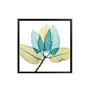 A[g|X^[ t[tEA[gplzt k XPg[tV[Y C^Cv A4 A3 A2